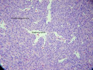 Mamalis Orbit 51 labeled